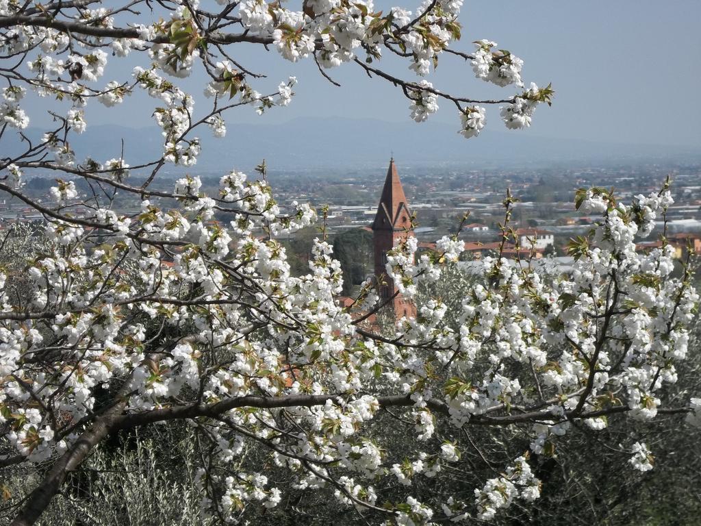 Il Campano Apartman Collodi Szoba fotó