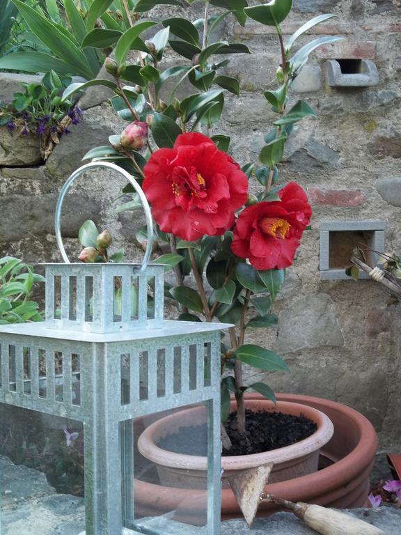 Il Campano Apartman Collodi Kültér fotó