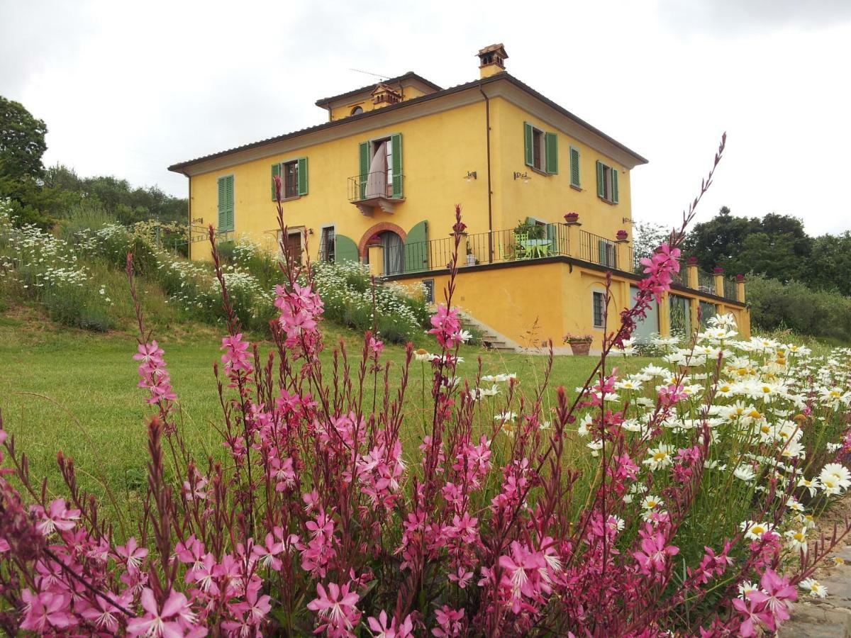 Il Campano Apartman Collodi Kültér fotó